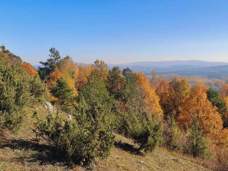 Łopuszna atrakcje – odkryj ukryte skarby i niezapomniane miejsca