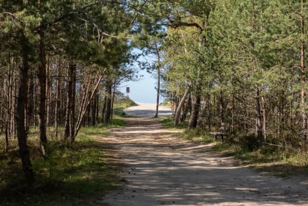 Jak dojechać do Jastrzębiej Góry bez problemów? Sprawdź najlepsze trasy i porady