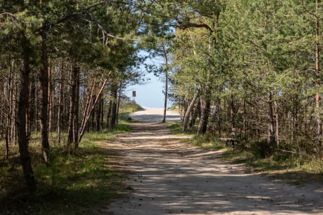Jak dojechać do Jastrzębiej Góry bez problemów? Sprawdź najlepsze trasy i porady