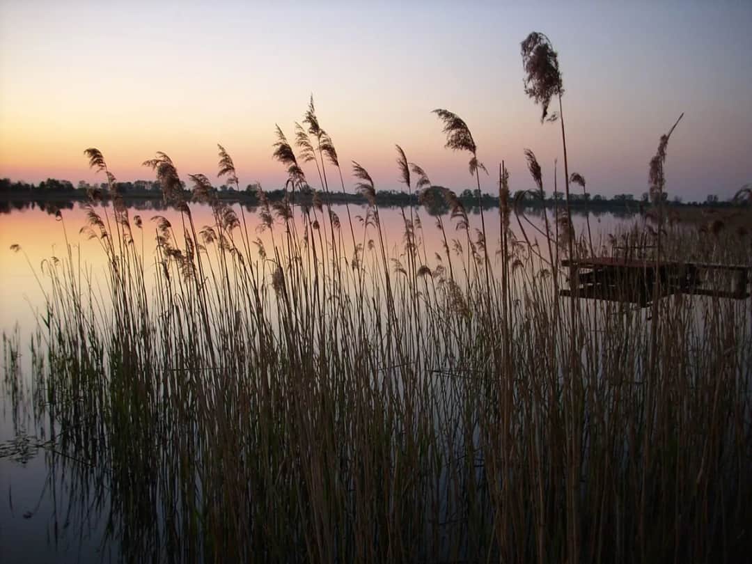 Jezioro Białe Uścimowskie: piękne miejsce na wędkowanie i wypoczynek