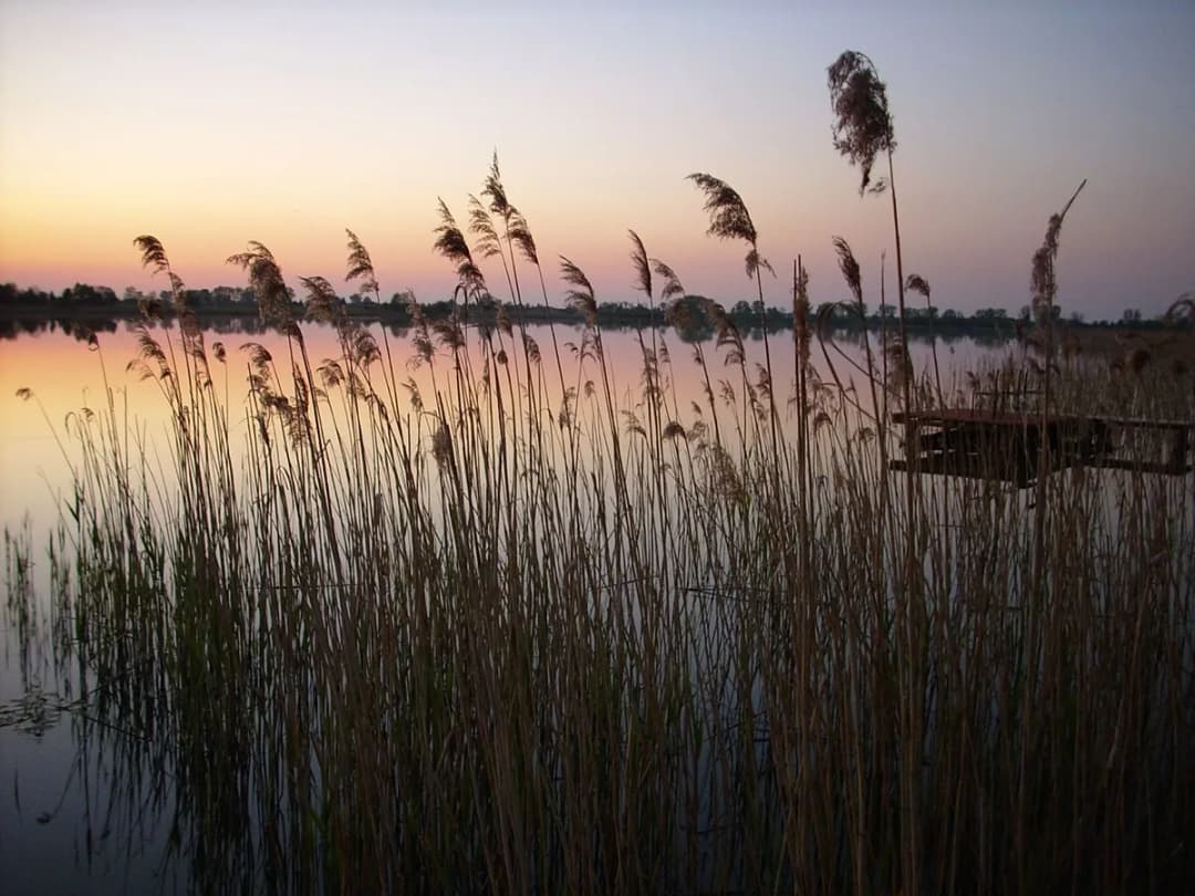 Jezioro Białe Uścimowskie: piękne miejsce na wędkowanie i wypoczynek