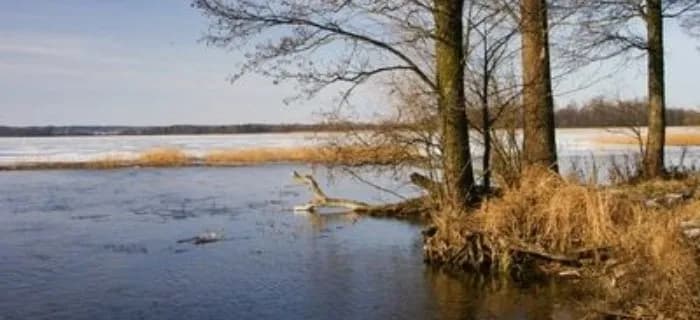 Jezioro Orzysz wędkowanie: zasady, ryby i gdzie kupić sprzęt