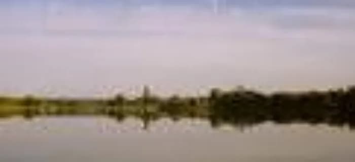 Jezioro Dymaczewskie: piękno natury, atrakcje i tajemnice jeziora