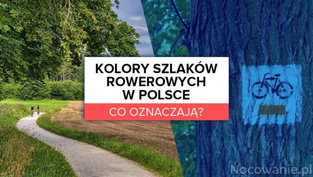 Co oznaczają kolory szlaków rowerowych i jak je wykorzystać dla bezpieczeństwa