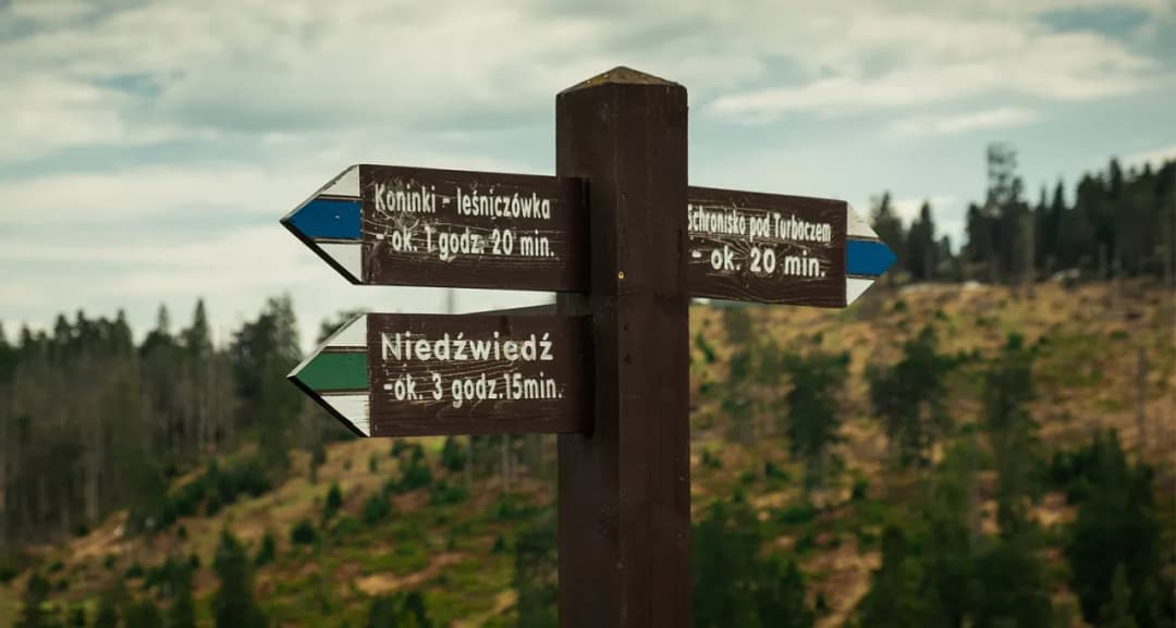 Który szlak łatwiejszy: żółty czy niebieski? Poznaj różnice w trudności